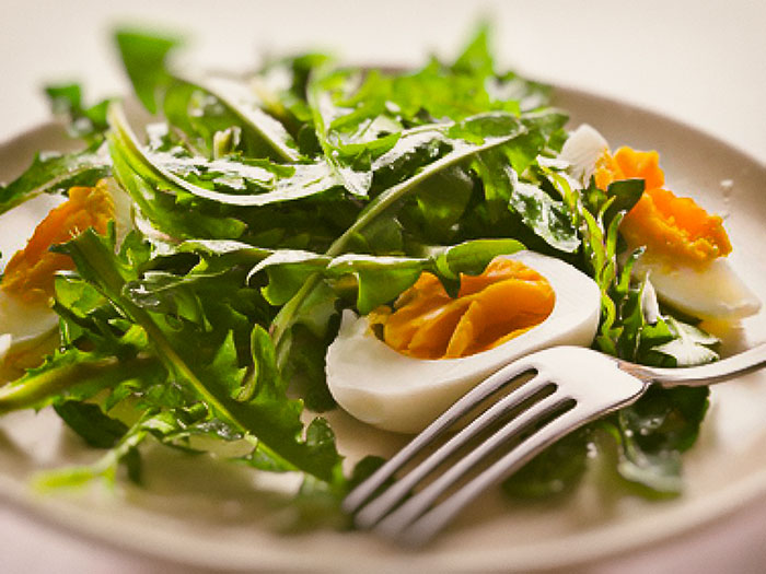 Wildkräuterspaziergang | Natur und Handwerk e.V. Wildkräuterspaziergang | Natur und Handwerk e.V.